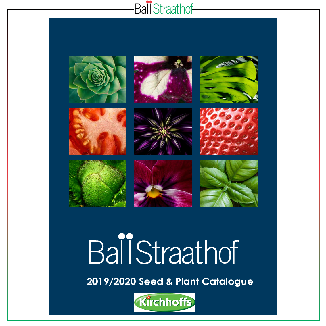 BALLSTRAATHOF - 2019 full catalogue Catalogue