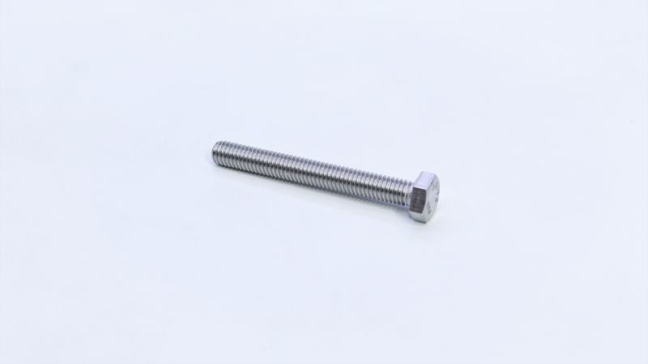 Bolt Hex Stainless Steel M6x50mm